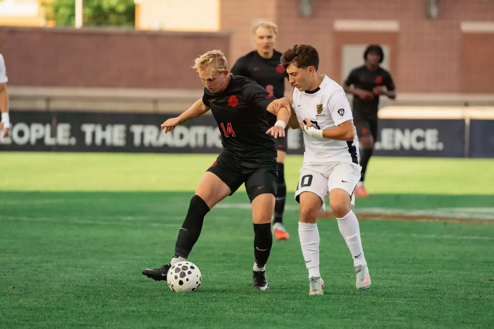 OSU vs Oakland MSOC 82825