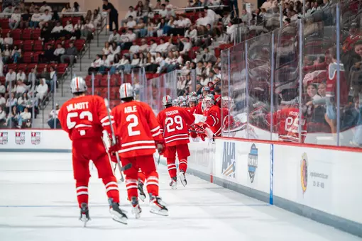 Men's hockey celebration