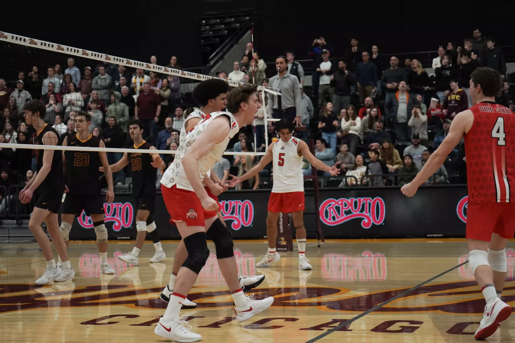 MVB at Loyola Chicago