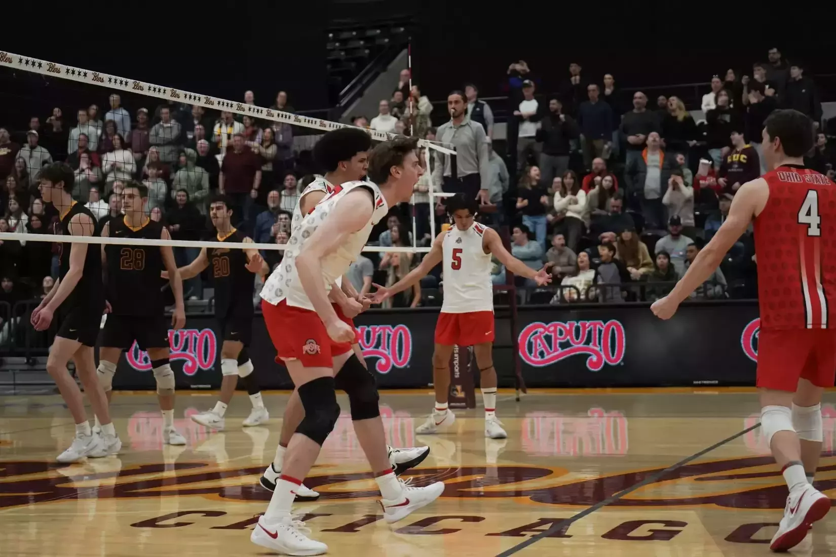 MVB at Loyola Chicago