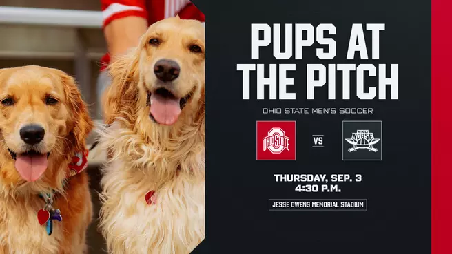 Pups at The Pitch