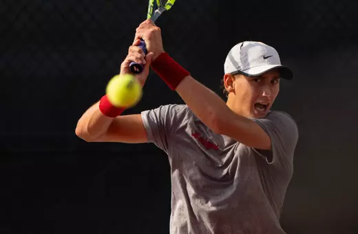 Ilija Palavestra in practice.