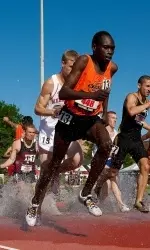 David Chirchir