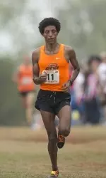 Girma Mechesco