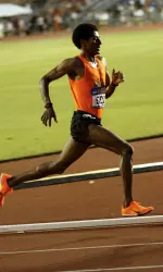 Girma Mecheso
