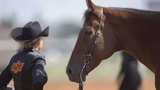 Equestrian