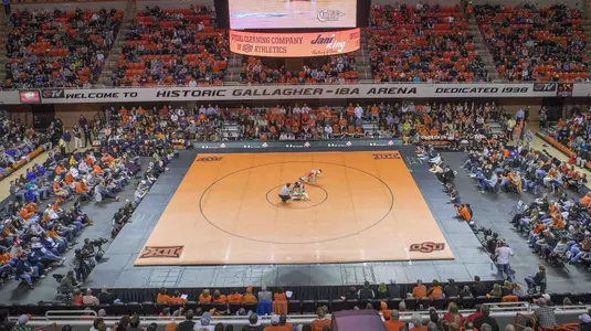 Generic Wrestling