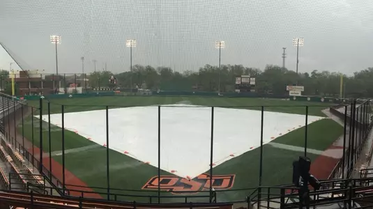 Tarp at Allie P. 2017