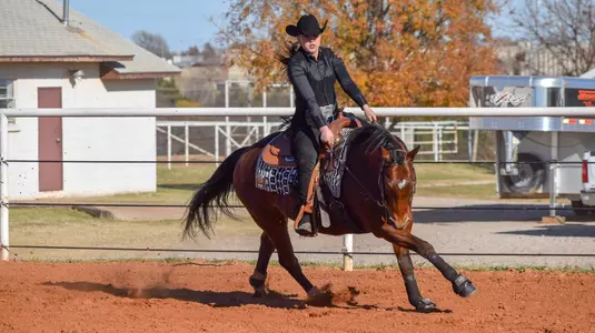 Hannah_Mitchell_Reining_2017-18