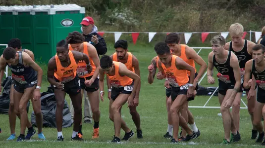 Cowboy XC