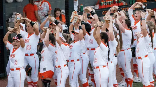 Cowgirl Softball Bags