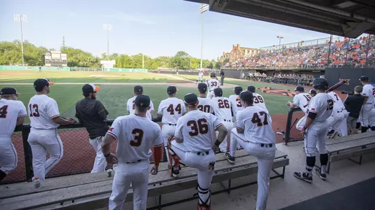 Dugout view at Allie P. vs. Baylor - 2019