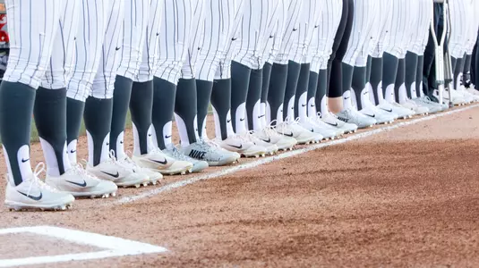 Cowgirl Softball Cleats
