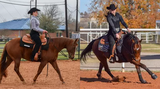 March NCEA ROM 1320 x 740