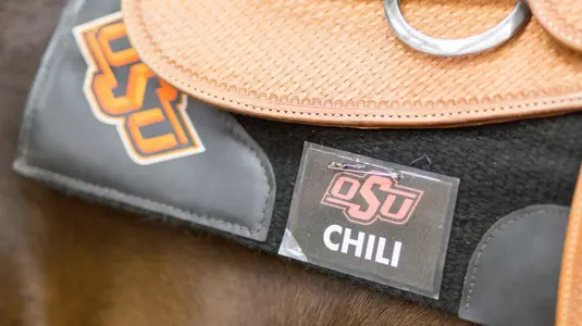 Chili Horse Tag