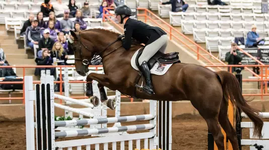 Katie_Schell_Fences_Ginger_Fresno_State