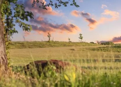 OSU Cross Country Course