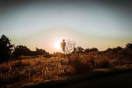 Greiner Family OSU Cross Country Course