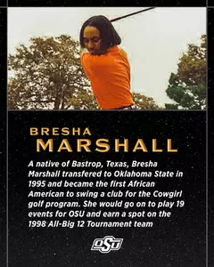 Bresha Marshall BHM Graphic