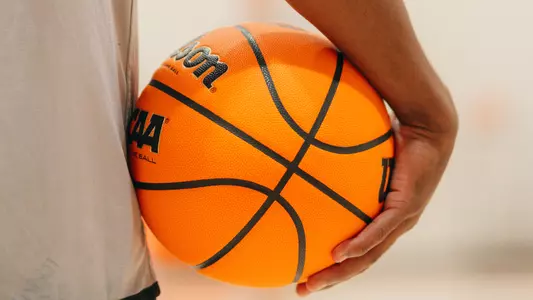 Generic Basketball