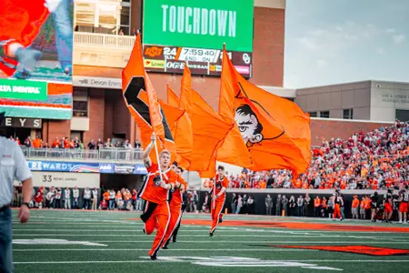 Bedlam Flags