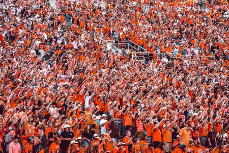 Crowd Shot