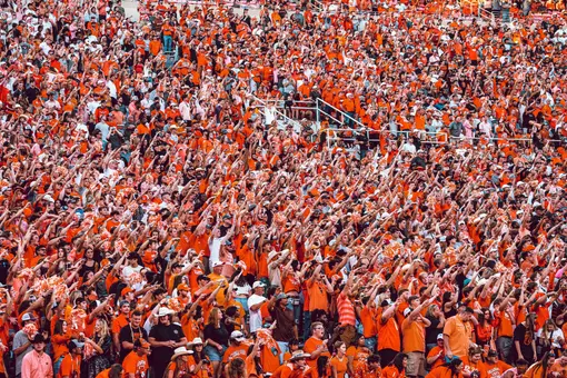 Crowd Shot