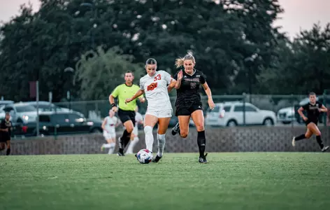 Heausler vs. Texas State