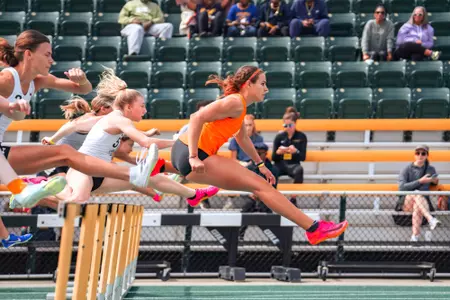 Bailey Golden Hurdle