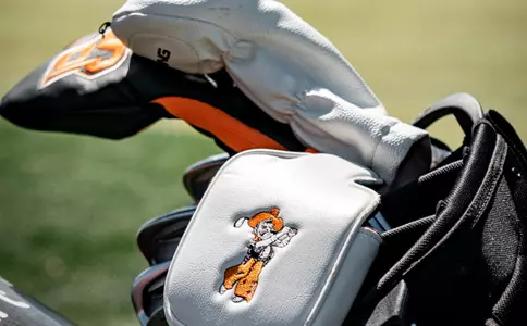 head covers