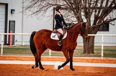 image taken at EQ vs Baylor, 240209, Feb 09, 2024, Totusek Arena, Stillwater OK. Leah Bwolf/OSU Athletics