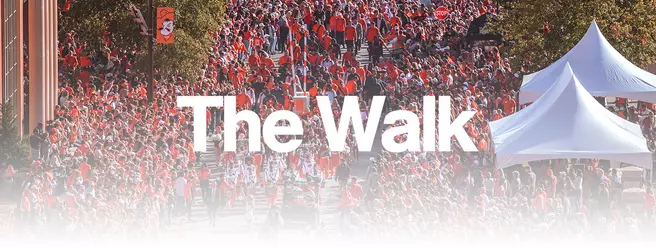 The Walk