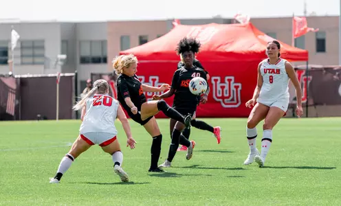 Bindbeutel & Joseph vs. Utah
