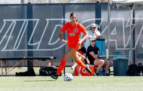 Brown vs. Arizona