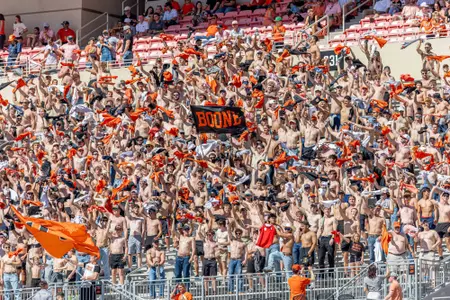 Section 231