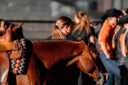 Equestrian