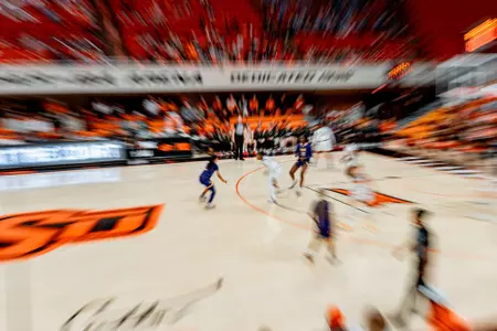 gallagher-iba arena