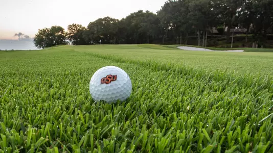 Scenics Golf Ball