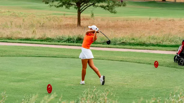 Summer Lee Swing