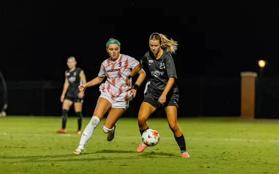 Wagner vs. Arizona