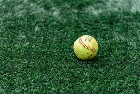 Generic Softball Shot