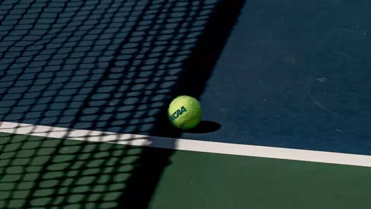 Tennis Ball