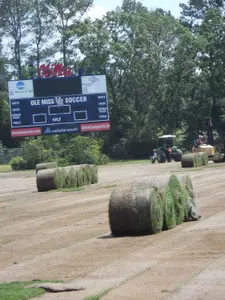Ole Miss Soccer