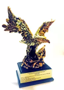 The Manning Center project won in the "Renovation - $2-10 Million" category.