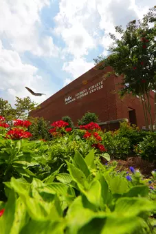 Ole Miss Places 67 on SEC Fall Academic Honor Roll