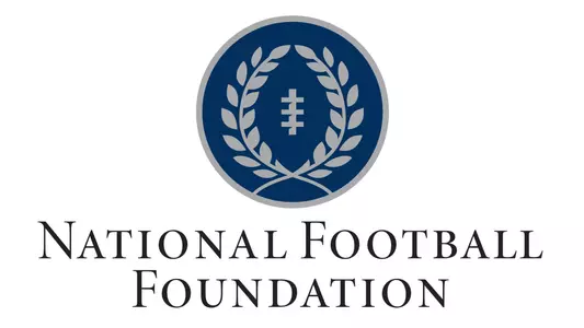 NFF logo - story