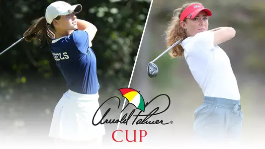 Johnson Swann Arnold Palmer Story