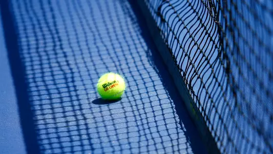 Tennis Net