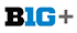 Big Ten Plus