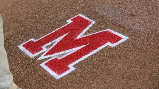 Baseball Grounds Crew